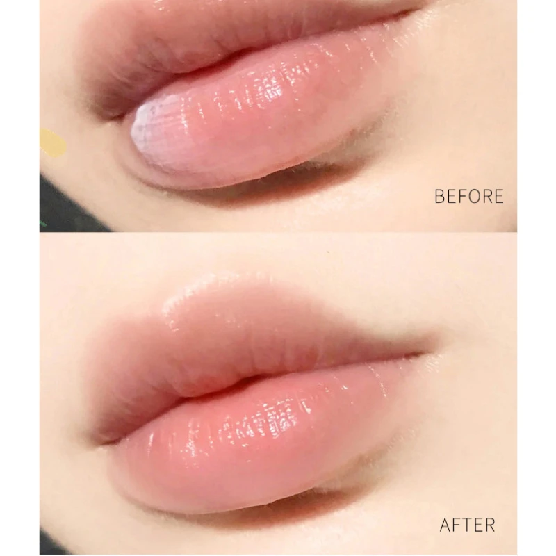 1Pc Natürliche Pflanzen Lip Ba – Skincare Basic Bewertung und Preis