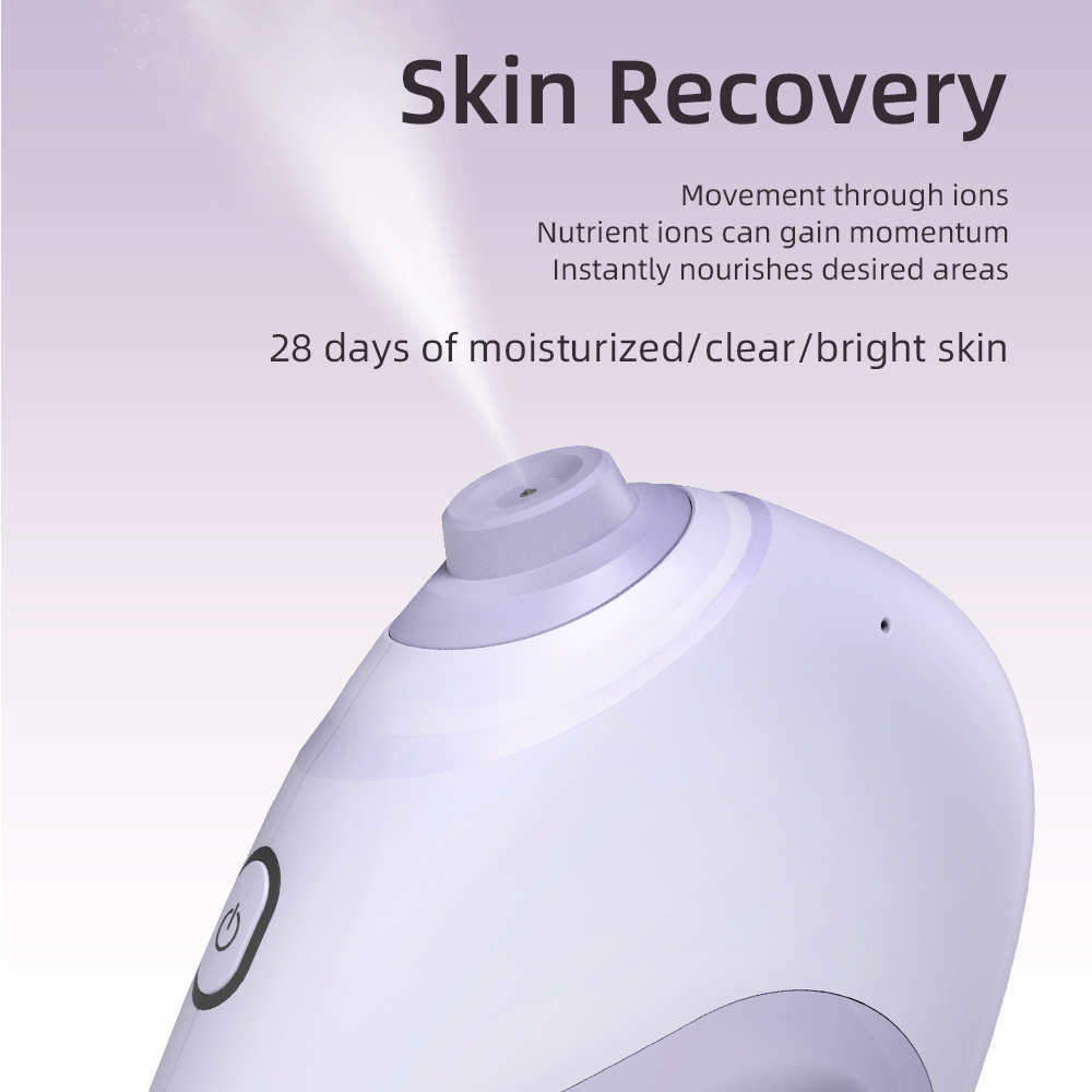 Nano Gesichts Sprayer Wasser D – Skincare Scora Bewertung und Preis